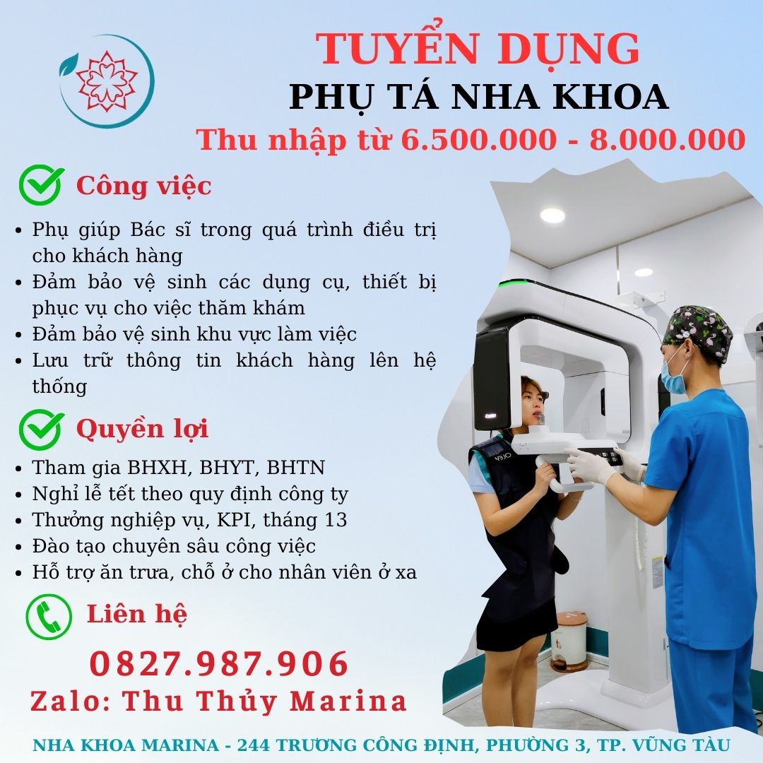lĩnh vực hoạt động